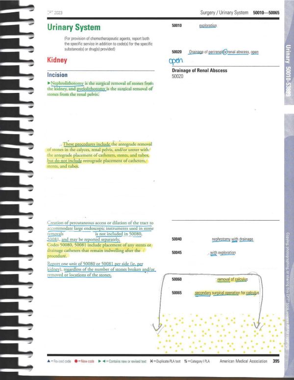 CPT Book Prep: Urinary 50000 Series - Image 3